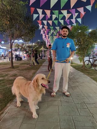 Dog Boarding Looking For A Dog Walker Dog Walking In Mumbai, South
