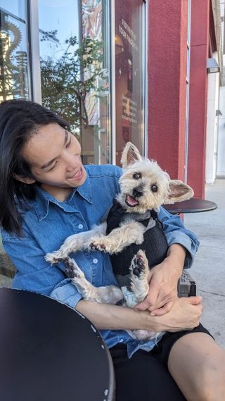 Pejalan Anjing di Yishun ave 6, Toa Payoh Dandan Kai Kai