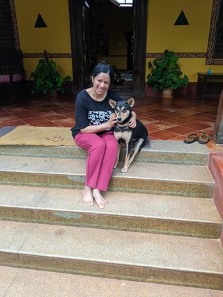 Bangalore Dog Pet Care Near Me Pet Hotel Home Pet Boarding In