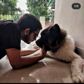 Dog, Cat Sitter in Prahlad nagar, Ahmedabad Pets Elite Ahmedabad