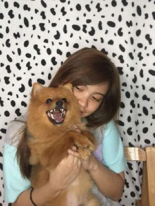 best dog daycare near me