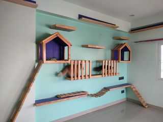 Luxury Cat Boarding Hotels That Take Cats Near Me Pet Hotel Home