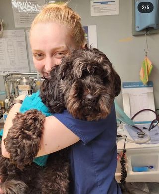 Dog Walking in Christchurch, Christchurch Walk On The Wild Side