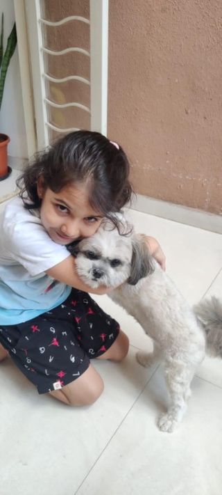 Pet Hotel Home Pet Boarding in Near Ravet Kiwle, Ne, Pimpri