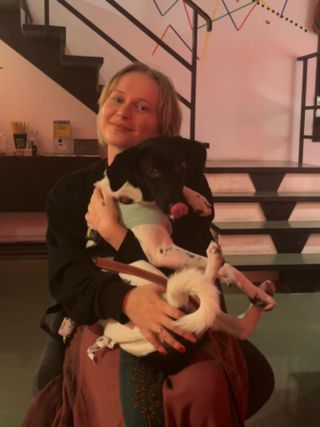 home comforts dog boarding