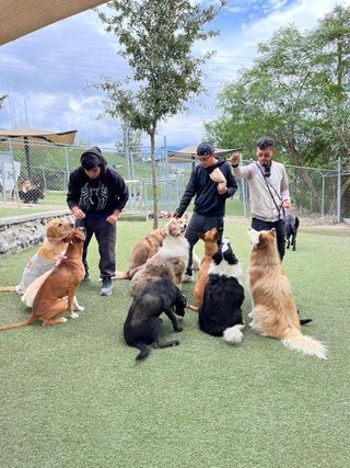Mascota Alojamiento en casa en San Nicolas de los G, San Nicolás