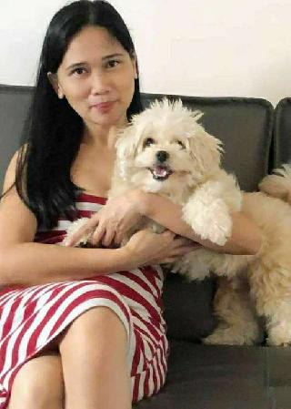 best dog daycare near me