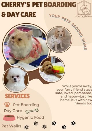 Cat Boarding Home Pet Sitting Services Petbacker In Home Pet