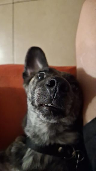 #