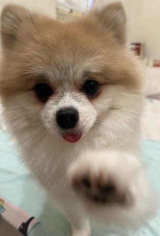 #