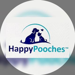 Pet Groomers Home From Home Pet Care Ltd Pet Hotel Home Pet