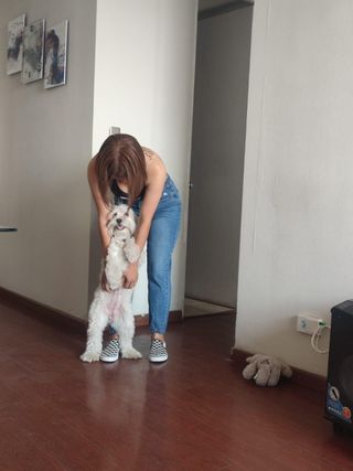 Pension pour Animal à domicile à Braga, Braga Braga PetBacker