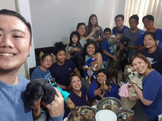 Pet Daycare in Angeles Here At Bark Club Ph PetBacker Central