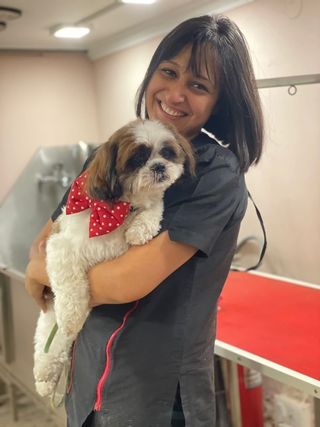 Pet Grooming in Fernhill Gardens Apa, Bengaluru Miss Woofy's Pet