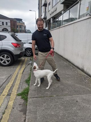 Pet Taxi Transport in Dublin8 Pet Uber PetBacker County Dublin