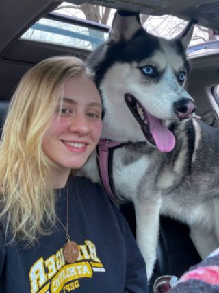 Fort Wayne Dog Lost And Found Near Me Pet Taxi Transport In