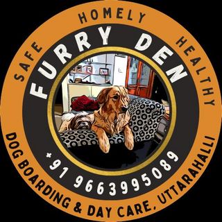 Pet Hotel Home Pet Boarding in Television Club, Utt, Bengaluru