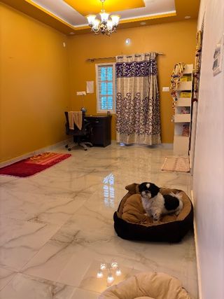 Pet Hotel Home Pet Boarding in Mysuru, Mysore, Alla, Mysuru
