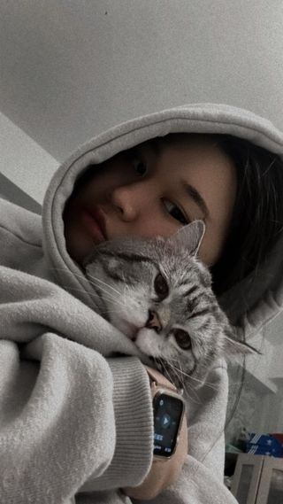 Pet Daycare in 桃園市楊梅區, Yangmei District 207巷寵物安親班