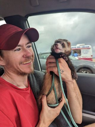 Pet Boarding in Sydney North Bondi The Bondi Ferret Man