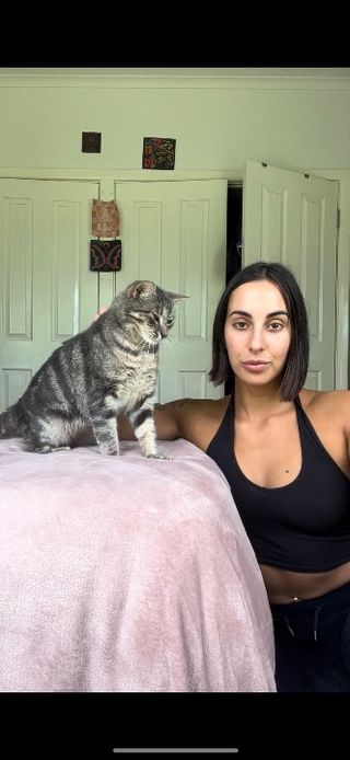 animal kitten sitter