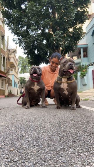 Pet Hotel Home Pet Boarding in Sanjaynagar Bengaluru Bangalore