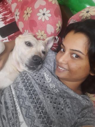 Pet Daycare in Kolkata, Birati, Bar, Kolkata Baby Pet's Care