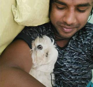 ravi, Pet Boarder in Bengaluru