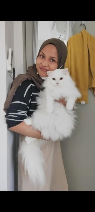 KL, Pet Driver in KL