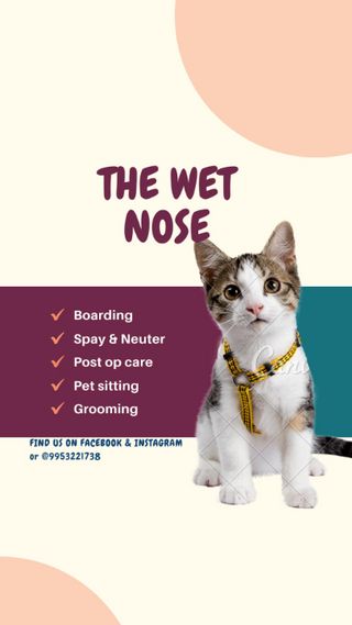 Dog Boarding Pet Sitters Near Me Cats Cat Hotel Home Pet Boarding