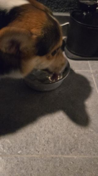#