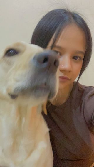 Pet Daycare in Saket New Delhi Precious Paws PetBacker Delhi