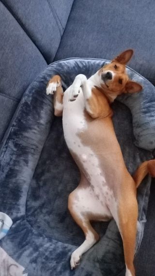 #