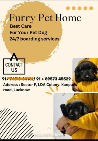 Petbacker Home Pet Sitting Services Petbacker Sitters Home From