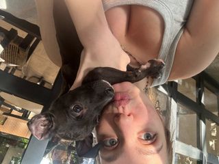 Dimitra, Pet Sitter in Egkomi