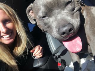 Pet Hotel Home Pet Boarding in Tauranga, Katikati, Whakamarama