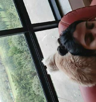 free dog adoption in greater noida