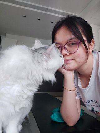 Rachel, Pet Sitter in Sembawang