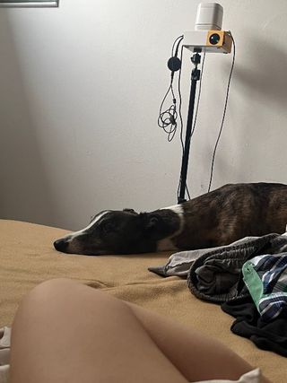 #
