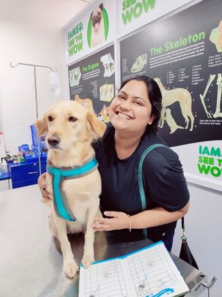 Karnataka Veterinary Clinics Close To My Location Dog Hotel Home