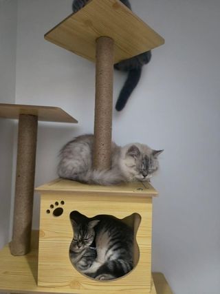 Cat Hotel And Spa Pengalaman Onsen Di Flamingo Cat Ba Resort