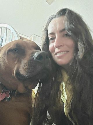 pet sitter sunday dog daycare