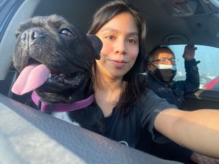 Taxi Pets And Uber Pet Taxi Transport In Carolina Uber Pet