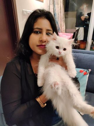 Lopa, Pet Sitter in Diemen