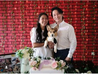 Singapore Beagle Hdb Dog Walking In Bidadari Toa Payoh Inuya_1208