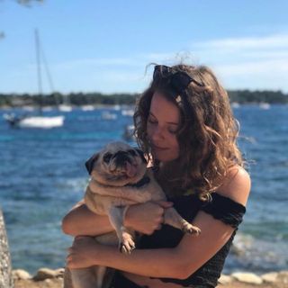 Pet Hotel Home Pet Boarding in Richardstraße, Berlin Neukölln