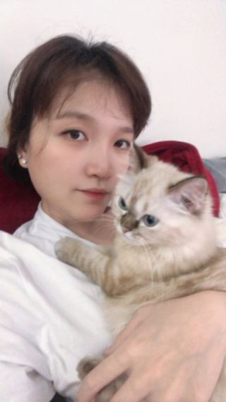 Pet Hotel Home Pet Boarding in Bangsar South, South, KL Meow