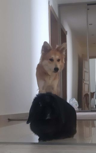 #