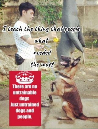 Pet Training in Atis street corner s, Marikina PetBacker Metro Manila