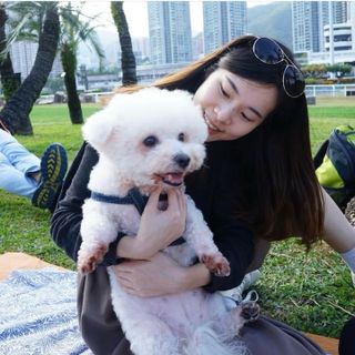 Pet Grooming in North York, Scarboro, Toronto Toronto Grooming